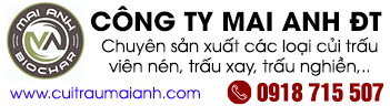 Công Ty TNHH MTV Mai Anh Đồng Tháp