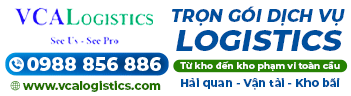 Công Ty TNHH Logistics Và Đại Lý Hải Quan Việt Nam
