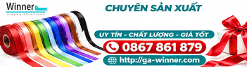 Công Ty TNHH GA - Winner Việt Nam