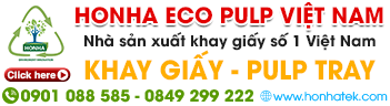 Công Ty TNHH Công Nghệ Đóng Gói Honha Eco Pulp Việt Nam